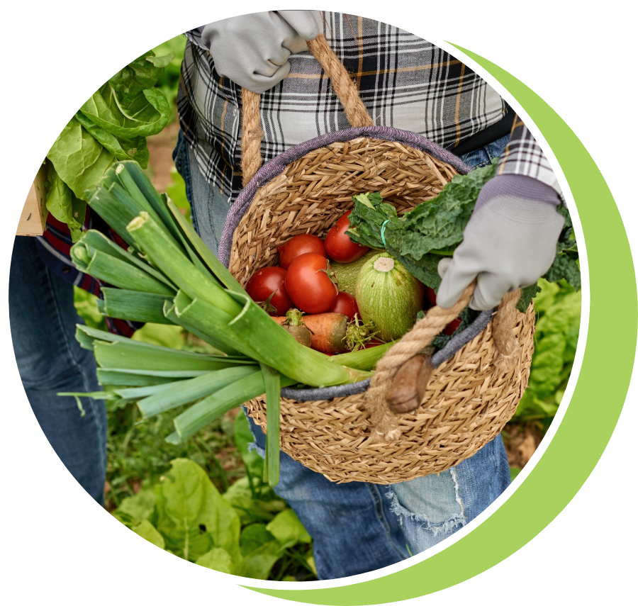 gathered vegetables in a basket